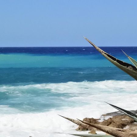 Kissonerga Beach Apartment Paphos Esterno foto